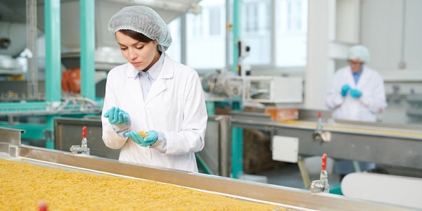 食品安全管理体系认证（ISO/HACCP/BRC/FSSC）